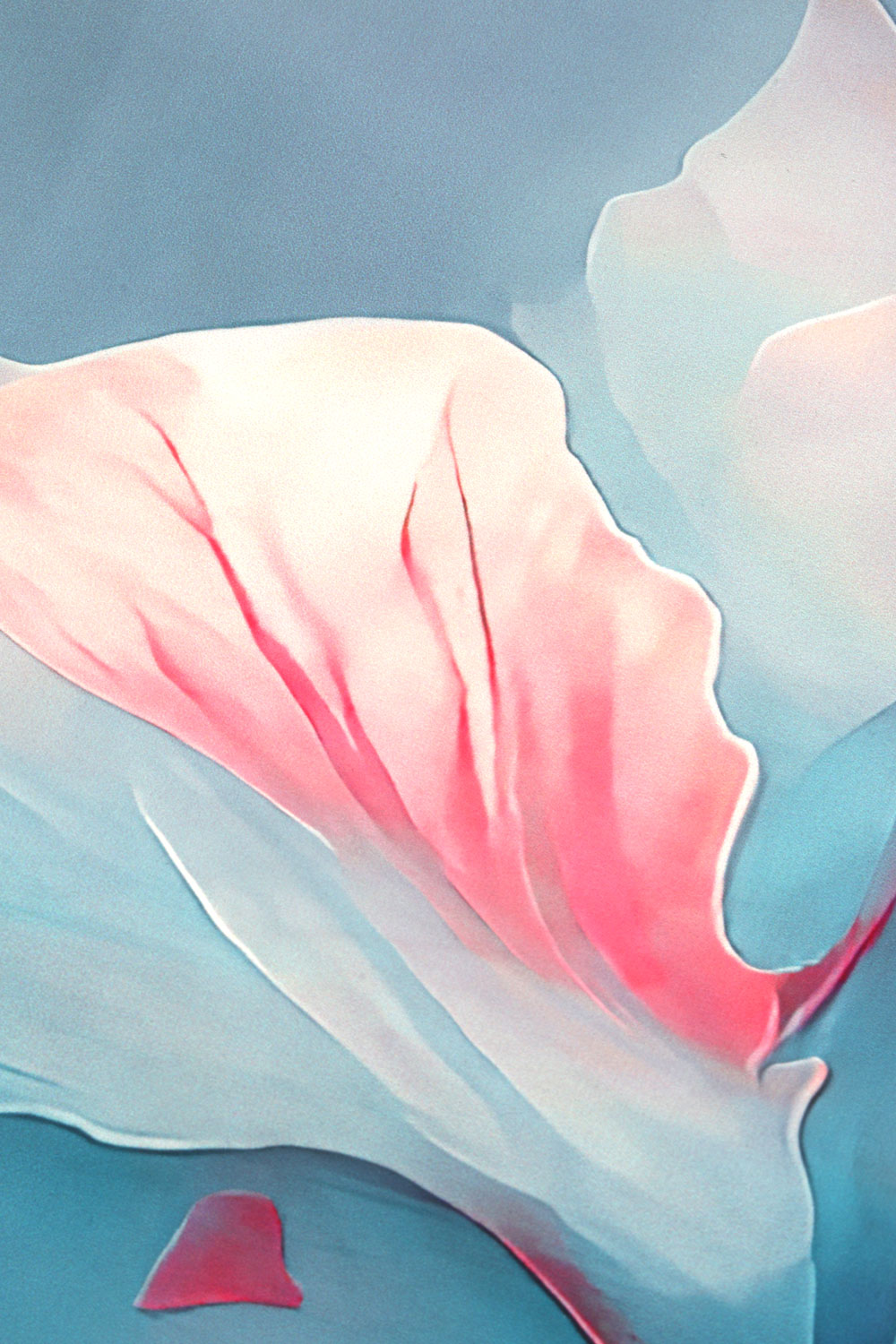 ЭРИКА ПРИНТ