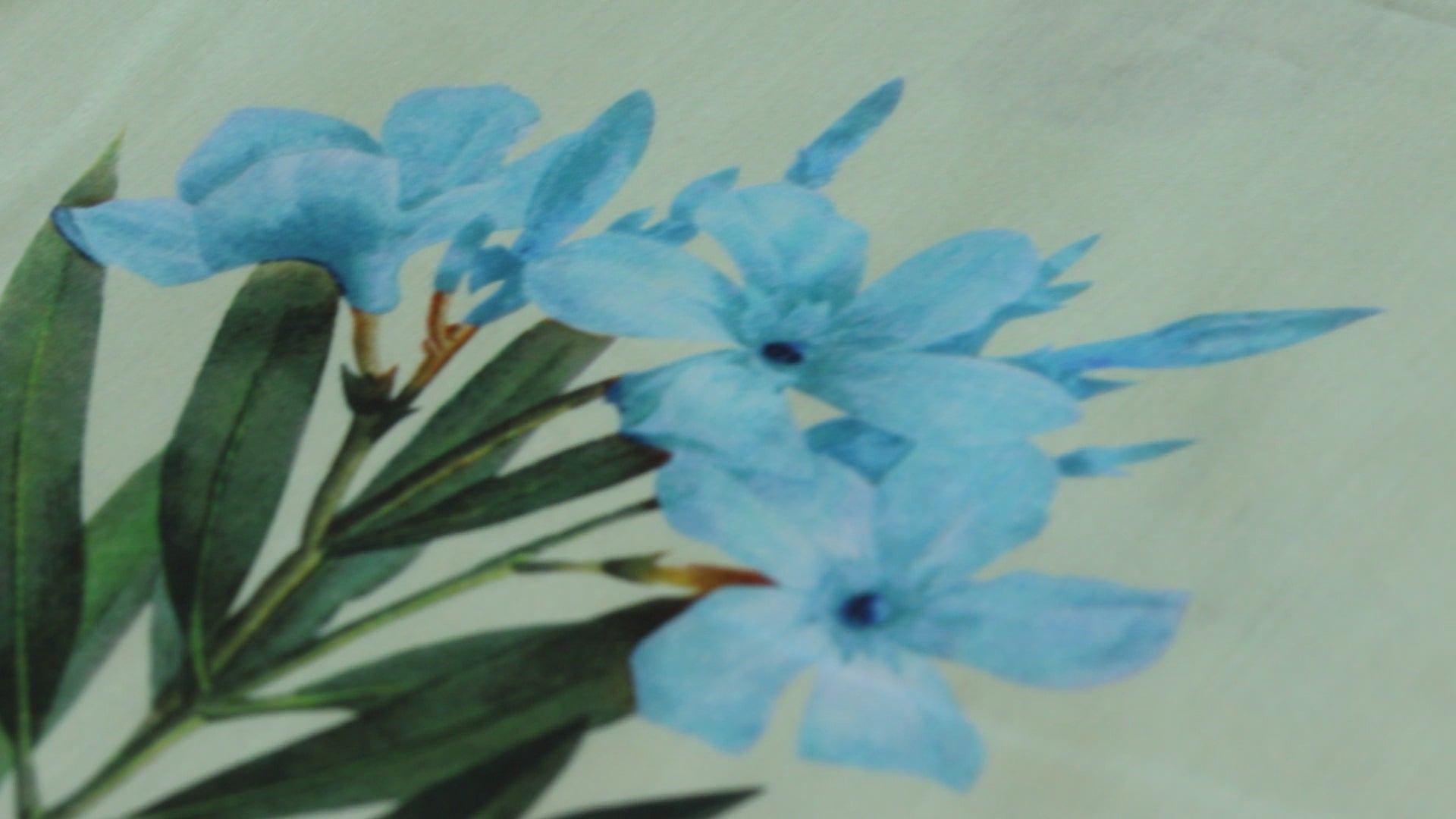 ХЛОПКОВЫЙ ВУАЛЬ С ПЕЧАТЬЮ