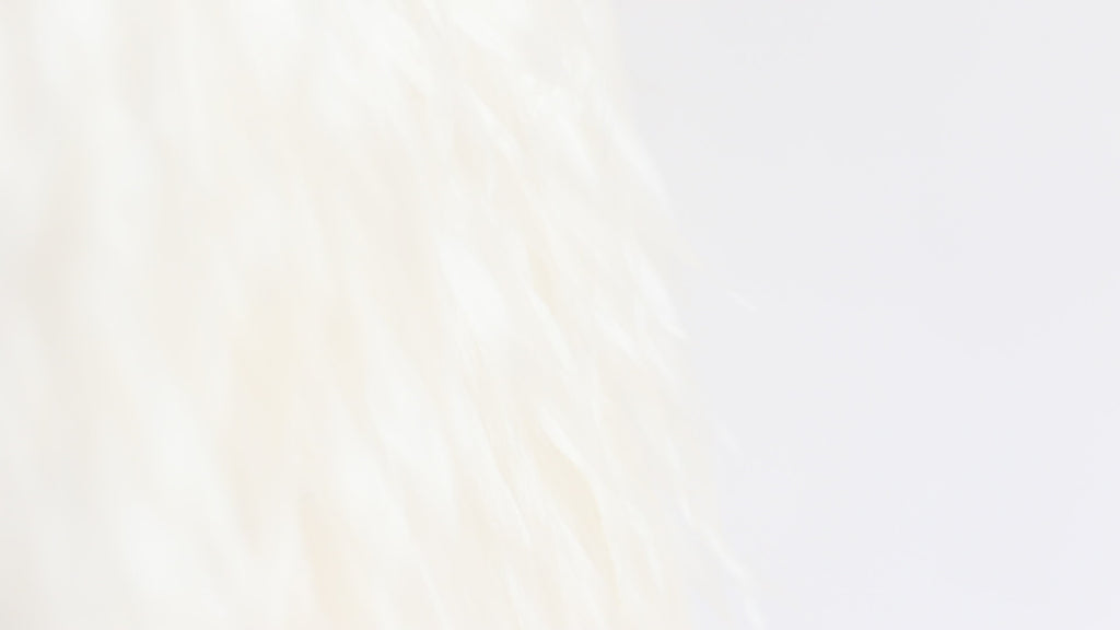 Fancy Fringe