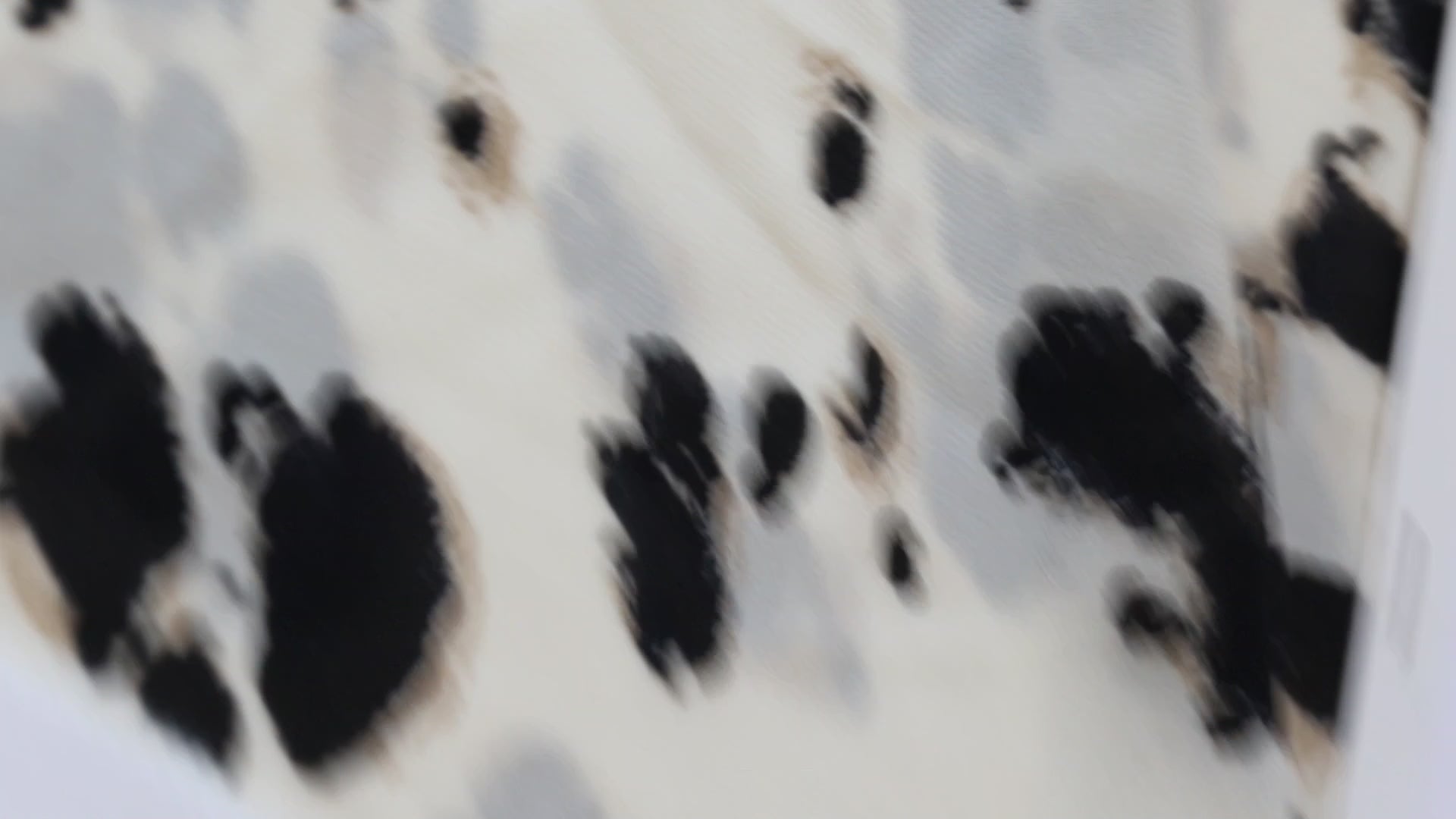 CHIFFON PRINT