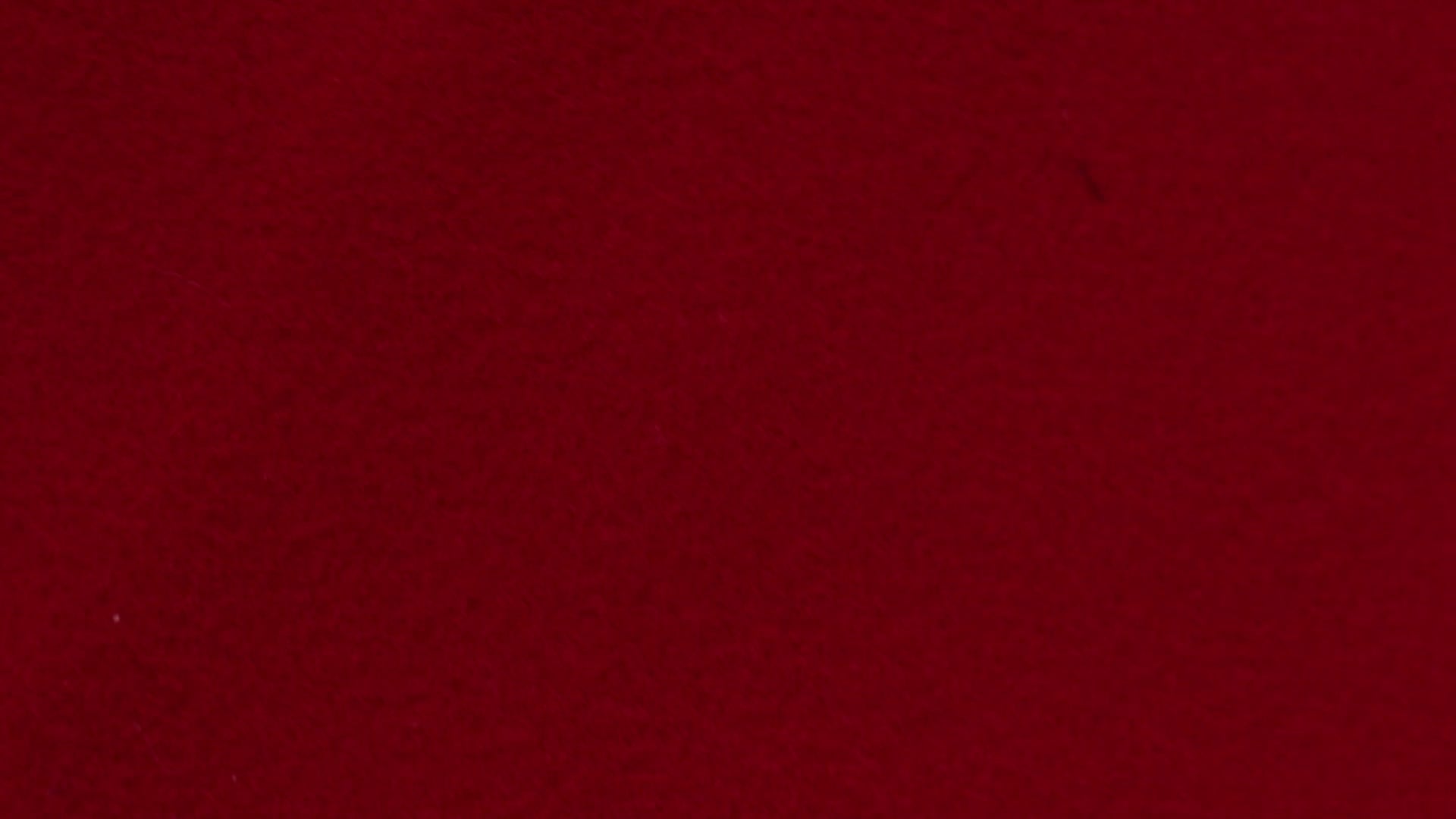 ФЕНИКС ШЕРСТЬ