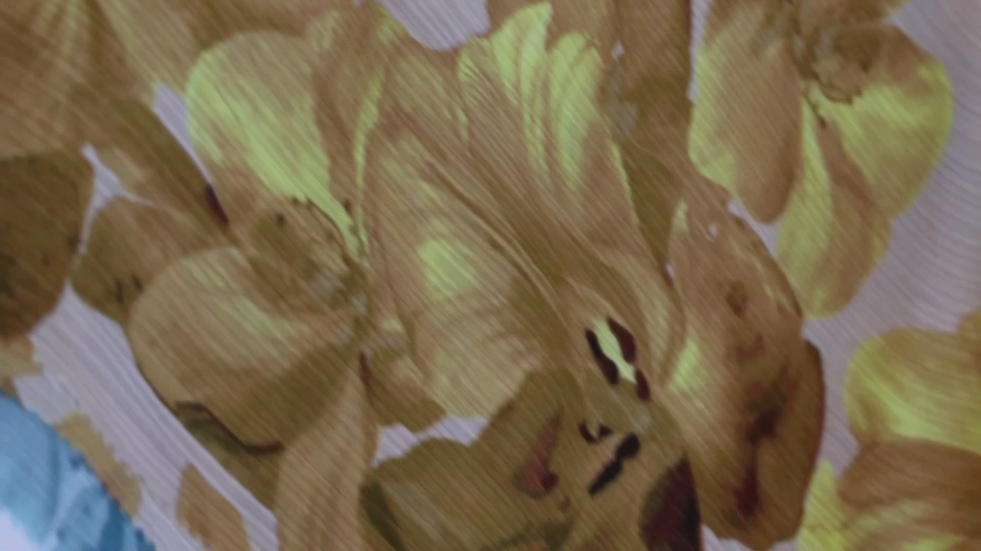 CHIFFON PRINT
