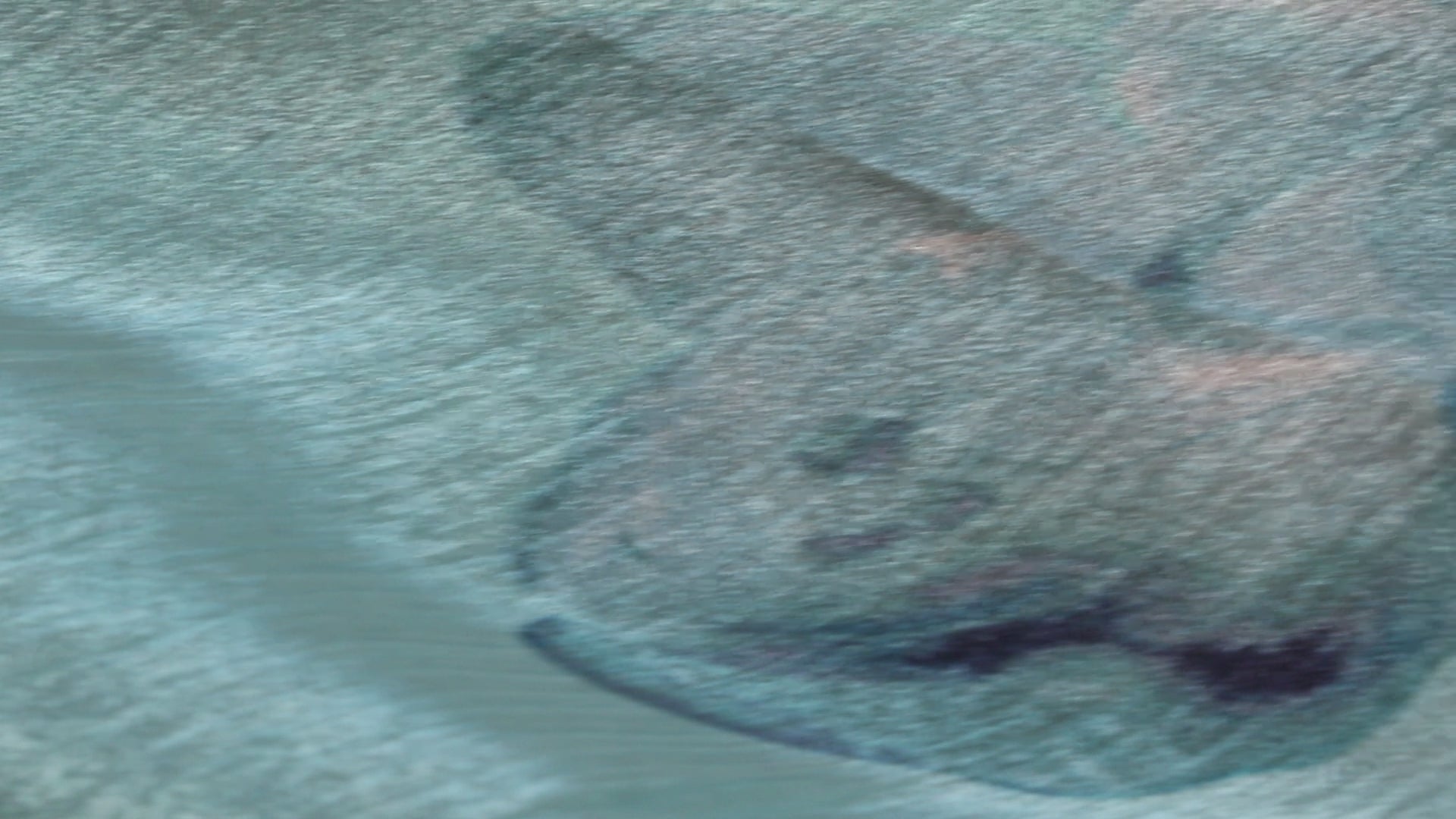 ЭМИЛИ ПРИНТ